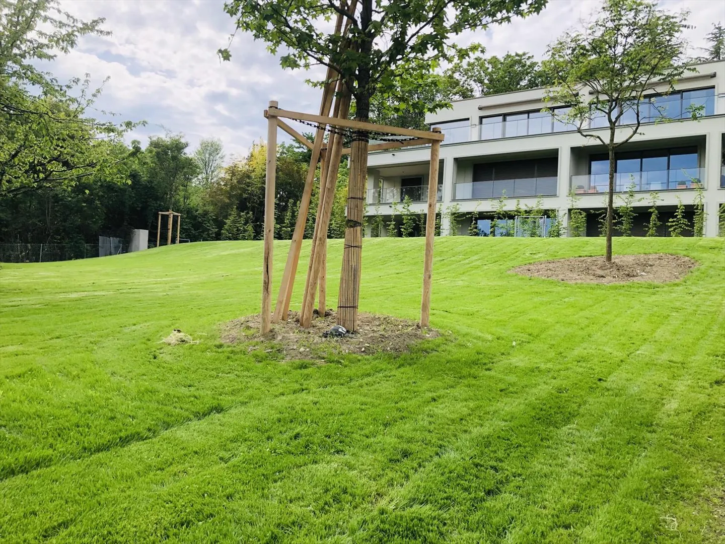 5-Zimmer-Wohnung - Foto 7 von 8