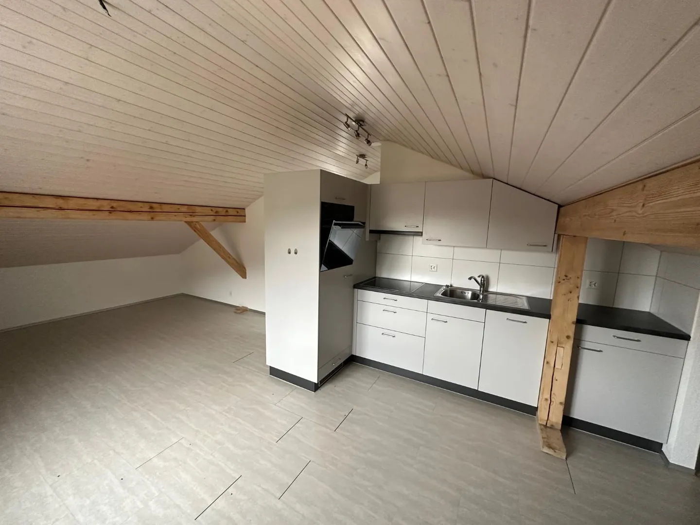 1.5 Room Apartment - Photo 1 of 3