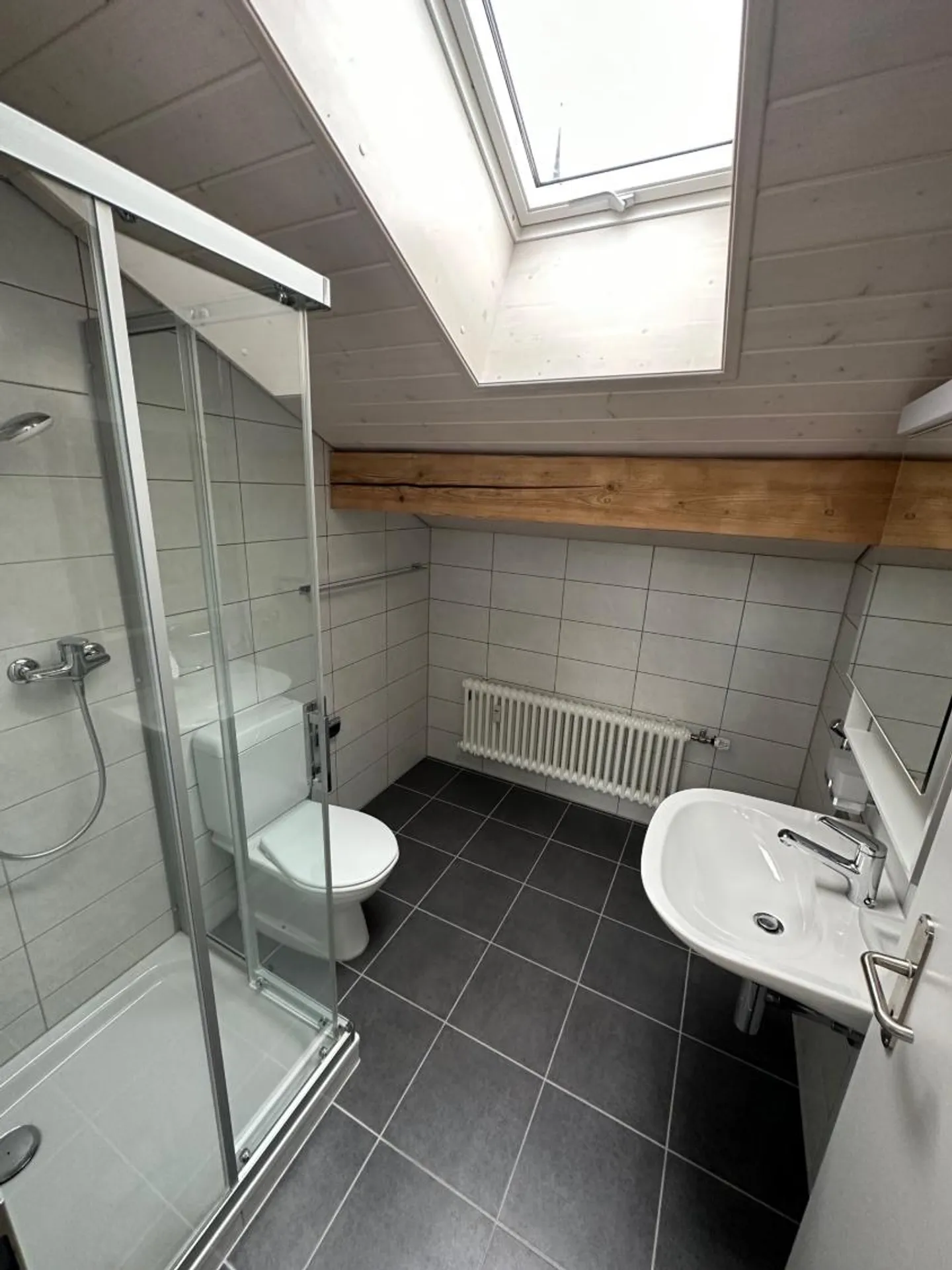 1.5 Room Apartment - Photo 3 of 3