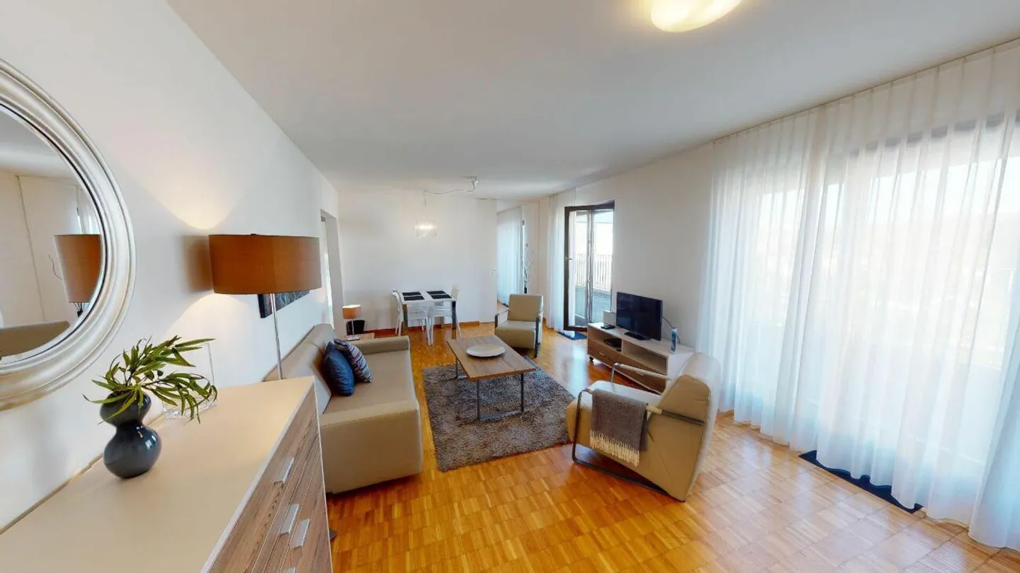 Unique Serviced Living @ Messe Basel Penthouse - Photo 2 sur 12