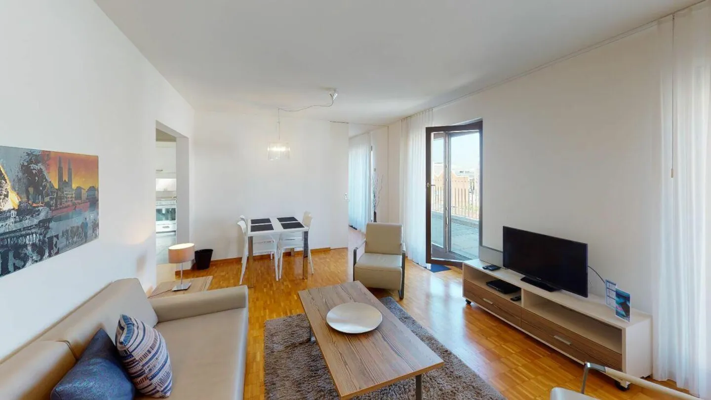 Unique Serviced Living @ Messe Basel Penthouse - Photo 3 sur 12