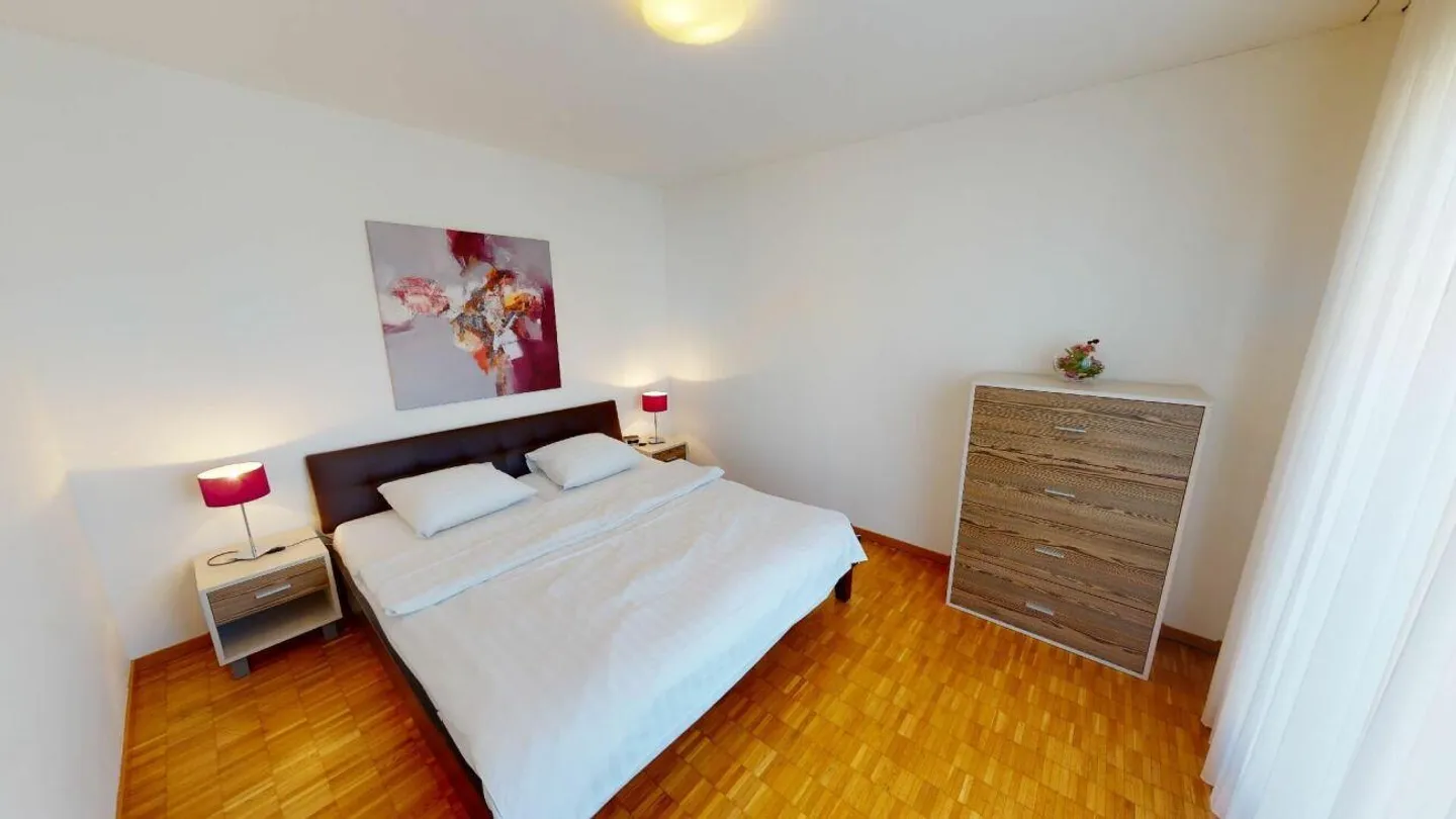 Unique Serviced Living @ Messe Basel Penthouse - Photo 7 sur 12