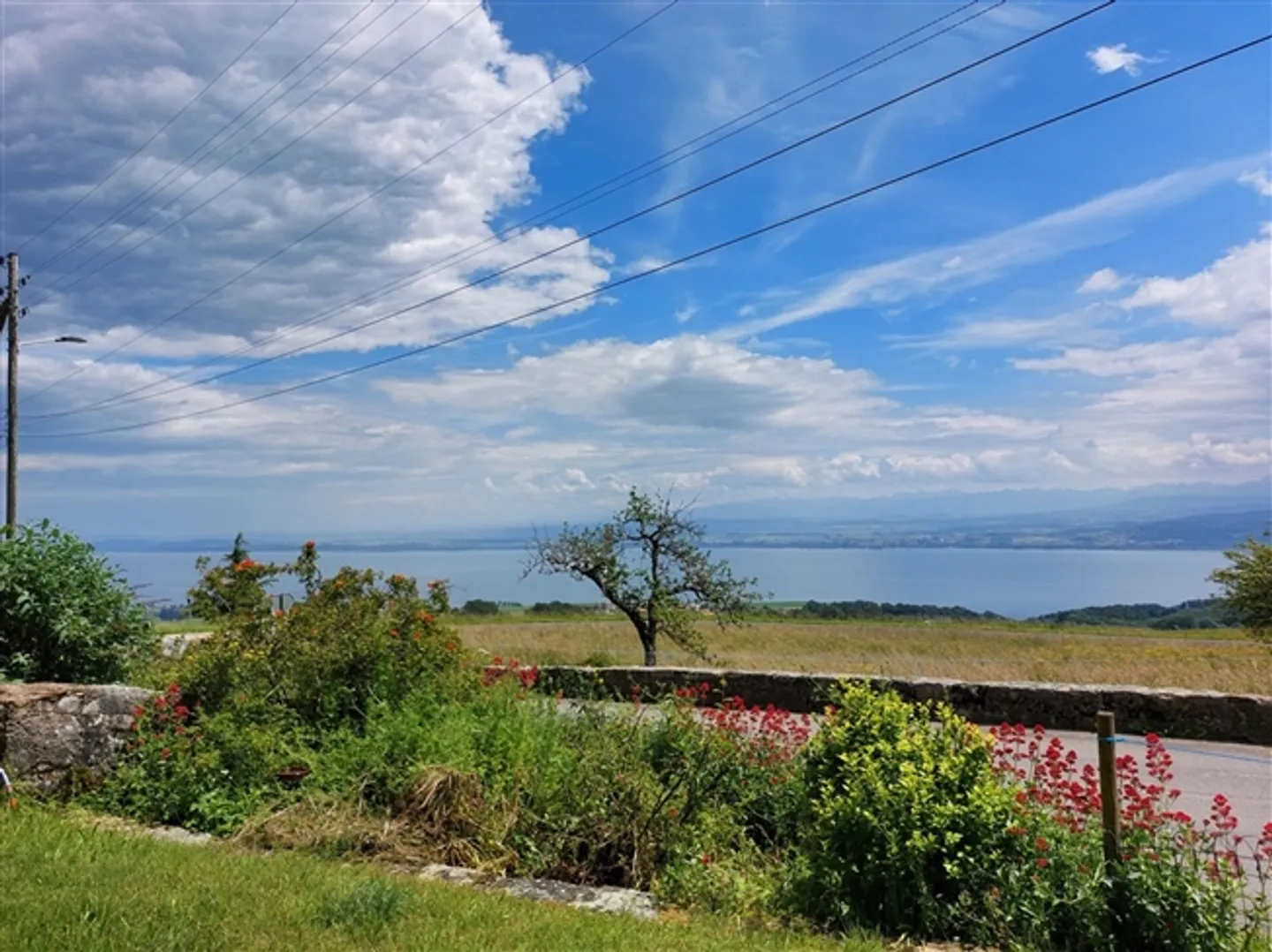 Affascinante fattoria con vista sul lago e sulle montagne composta da due appartamenti per le vacanze - Foto 2 di 13