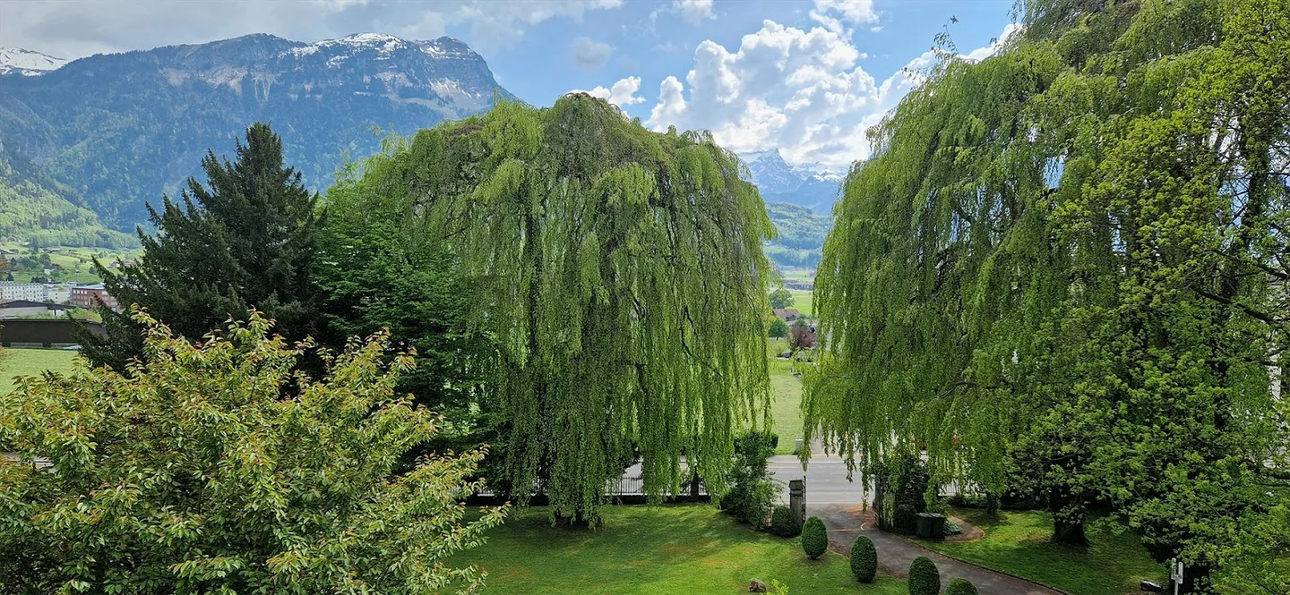 Exklusive Doppelhaushälfte - Foto 1 von 6