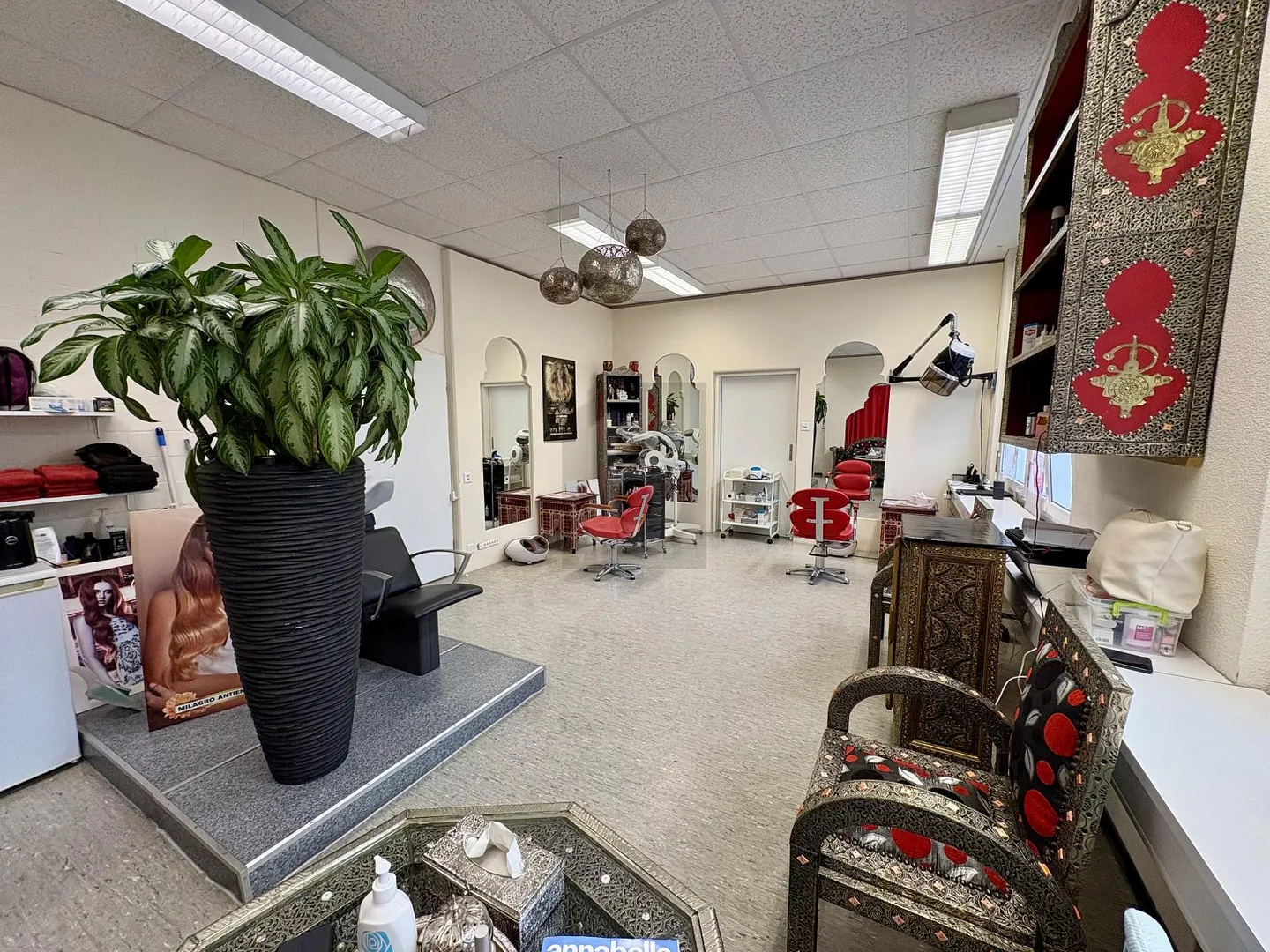 Espace Commercial Polyvalent - Photo 3 sur 6