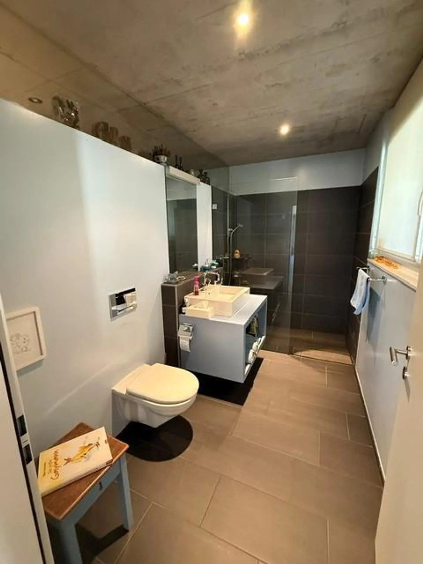 Great gem directly on the Rhine for rent - Photo 3 of 13
