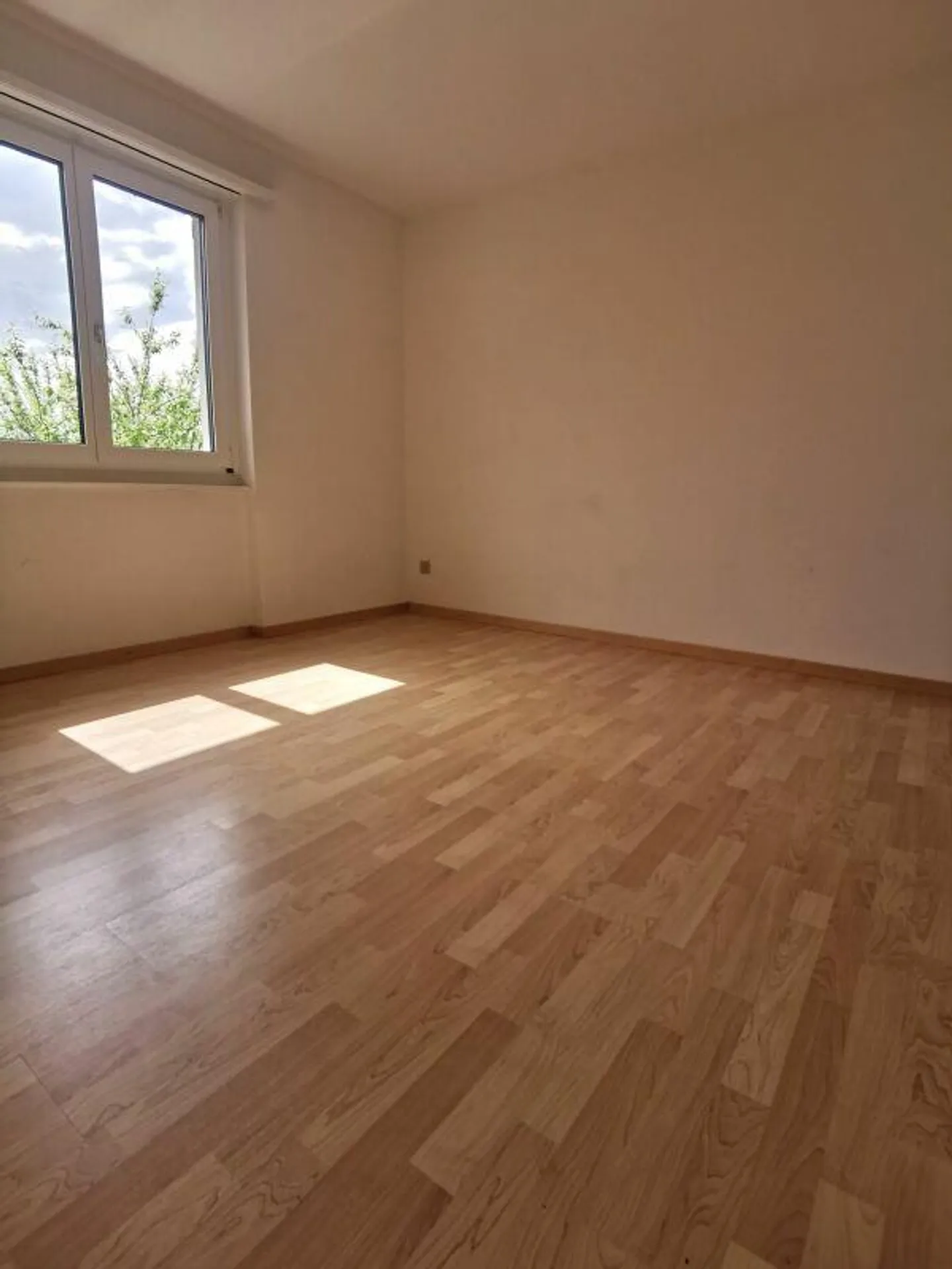 Beautiful single apartment with balcony in a good location in Arbon - Photo 4 of 7