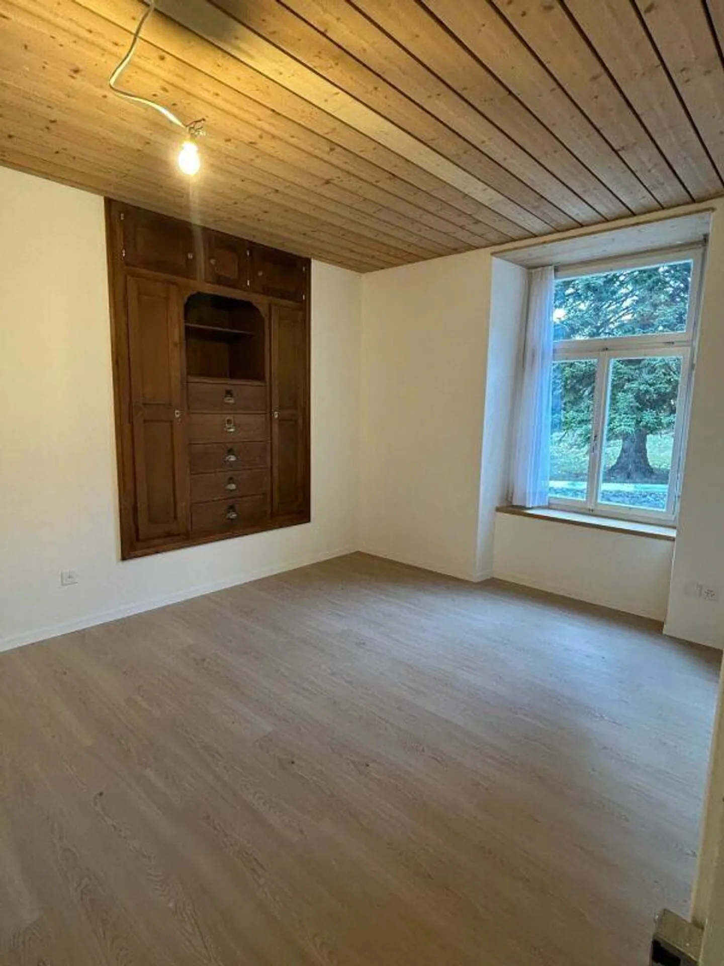Klein aber fein - Foto 2 von 9