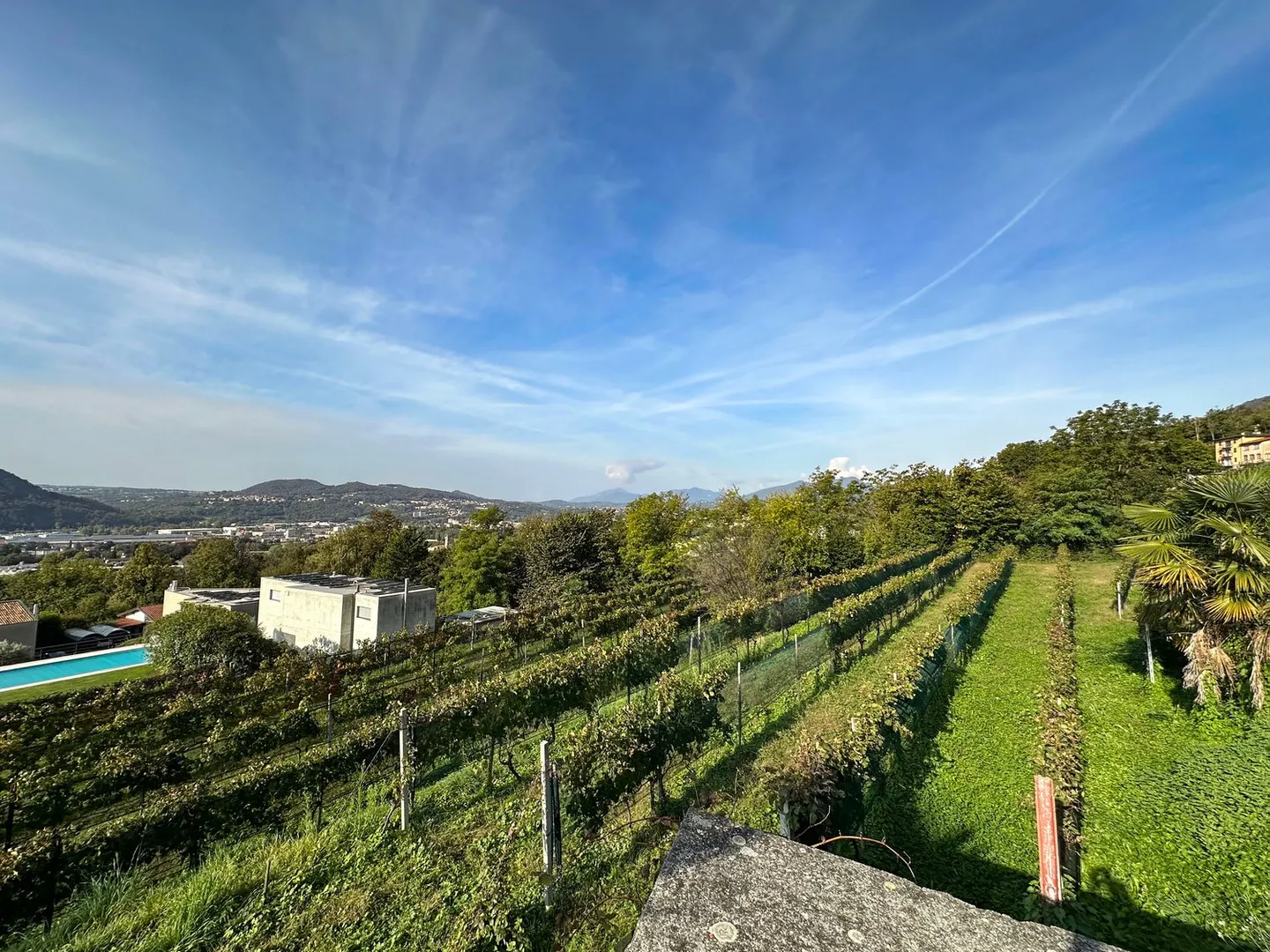 Beautiful plots in preferred location - Photo 1 of 3