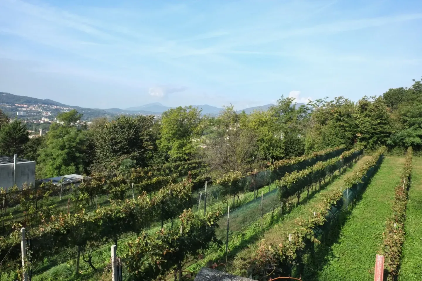 Beautiful plots in preferred location - Photo 2 of 3