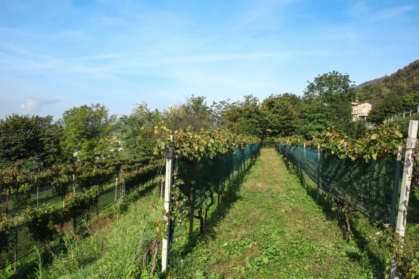 Beautiful plots in preferred location - Photo 3 of 3