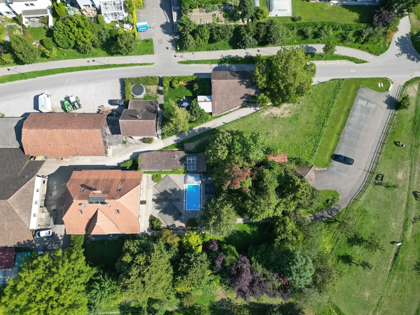 Working in the Park - Photo 1 of 7