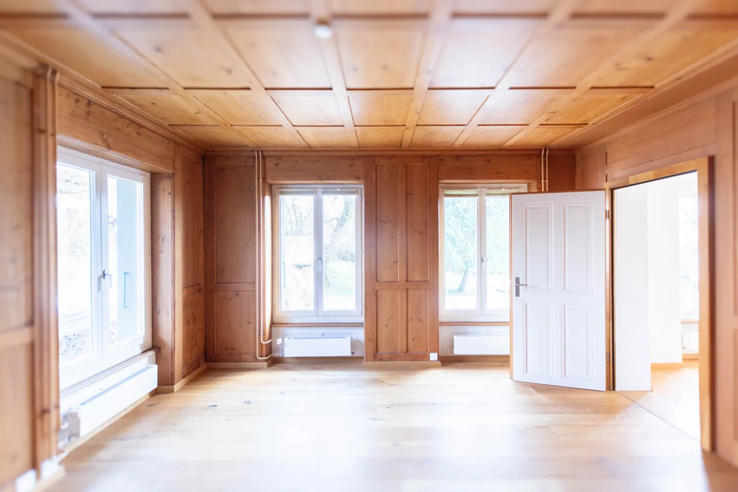 Working in the Park - Photo 4 of 7