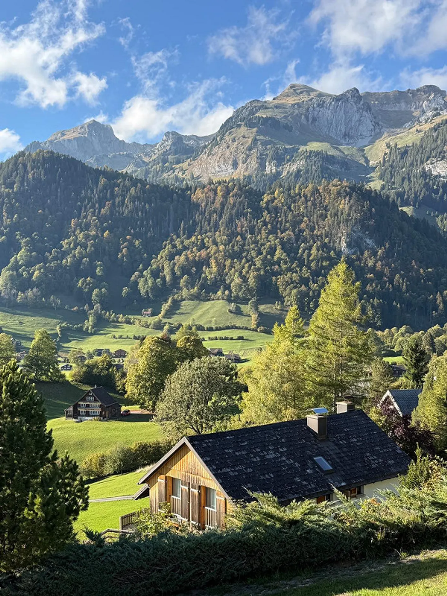 Moderna casa unifamiliare di 4,5 stanze con vista sulle Churfirsten - Foto 4 di 23