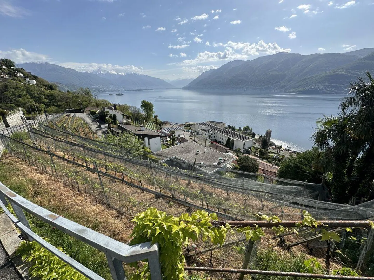 Scenic Building Plot in Brissago - Photo 1 of 3