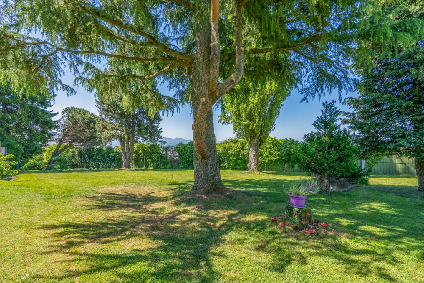 EXCLUSIVELY! Buildable plot in Mont-sur-Lausanne! - Photo 1 of 2