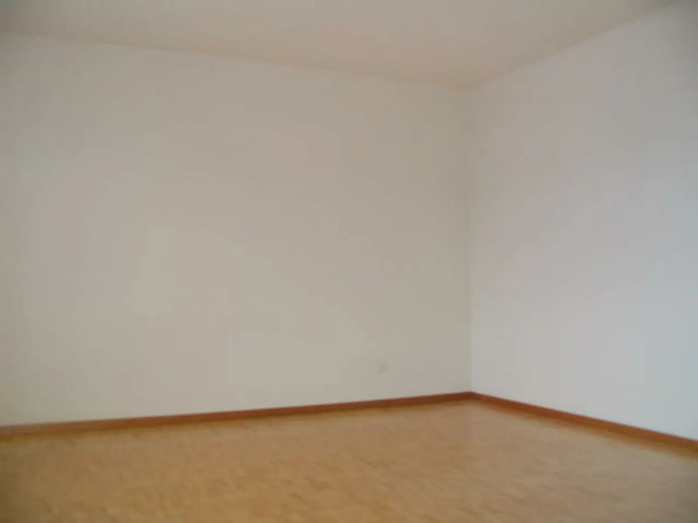 Spacious 5.5 Room Apartment - Photo 11 of 17