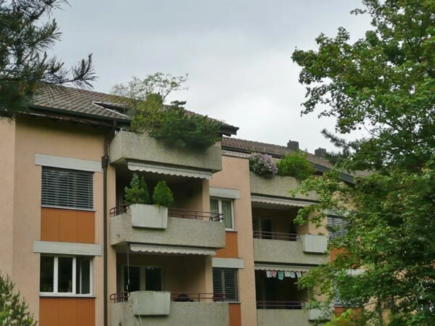 Vie moderne à Schwerzenbach fraîchement rénovée &amp; bien connectée! - Photo 1 sur 12