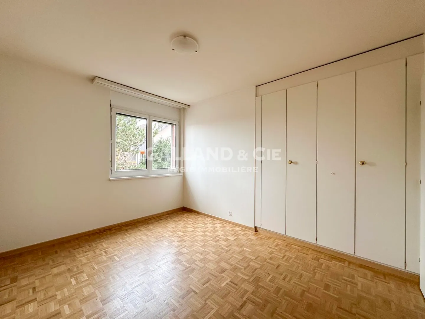 Bright 3.5 rooms - Photo 6 of 9