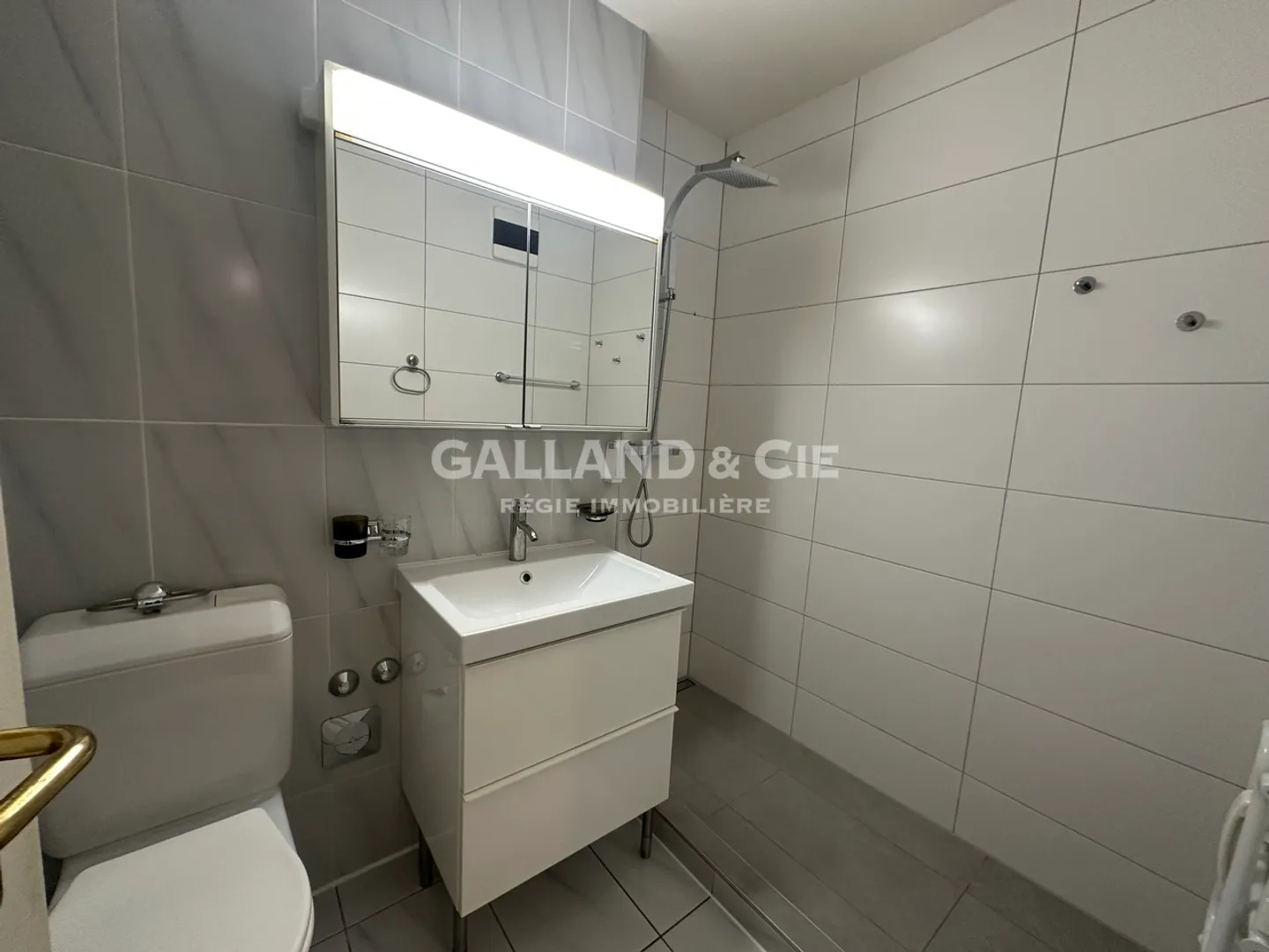 Bright 3.5 rooms - Photo 8 of 9