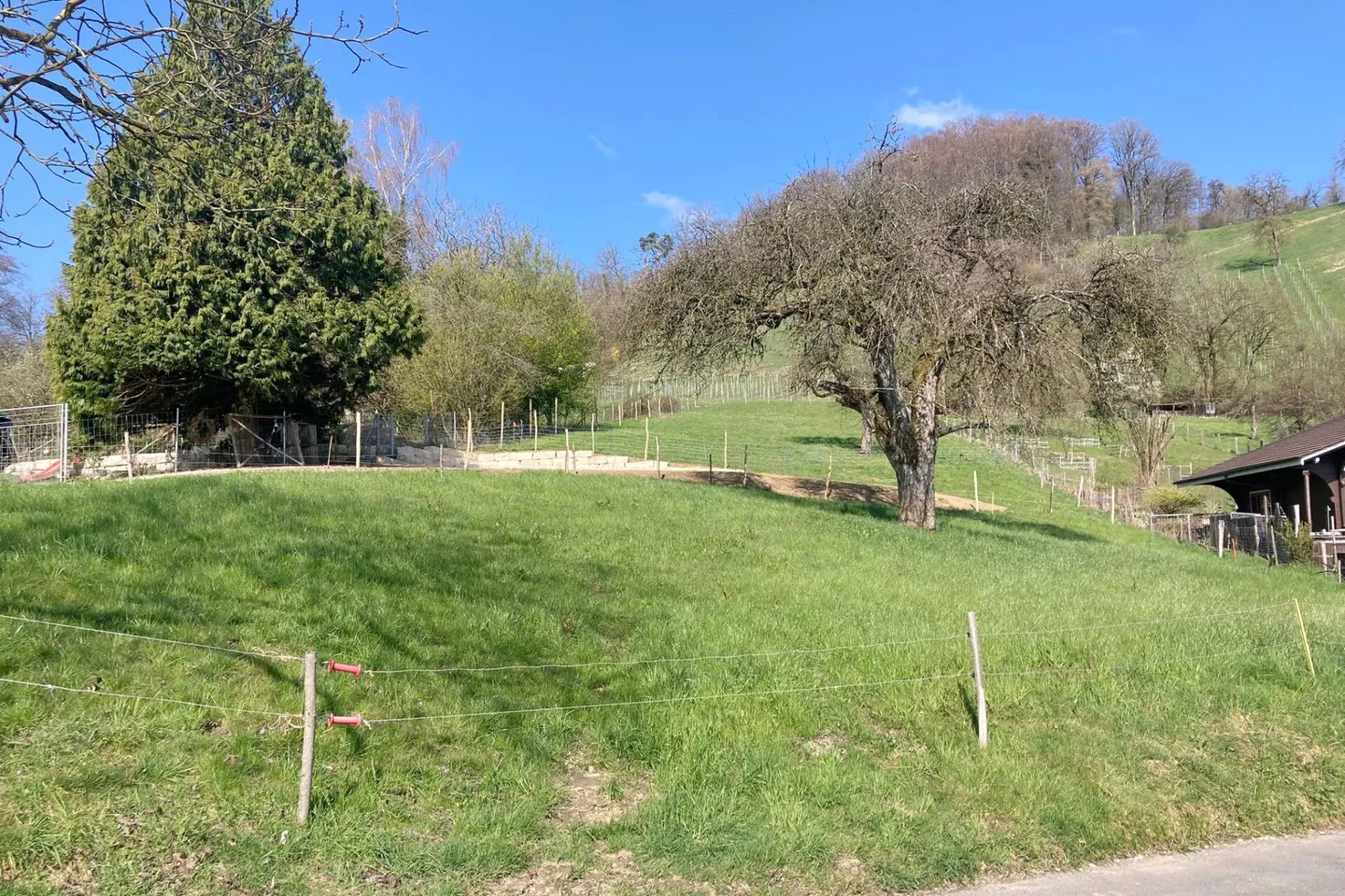 Building Land with a View - Photo 2 of 7