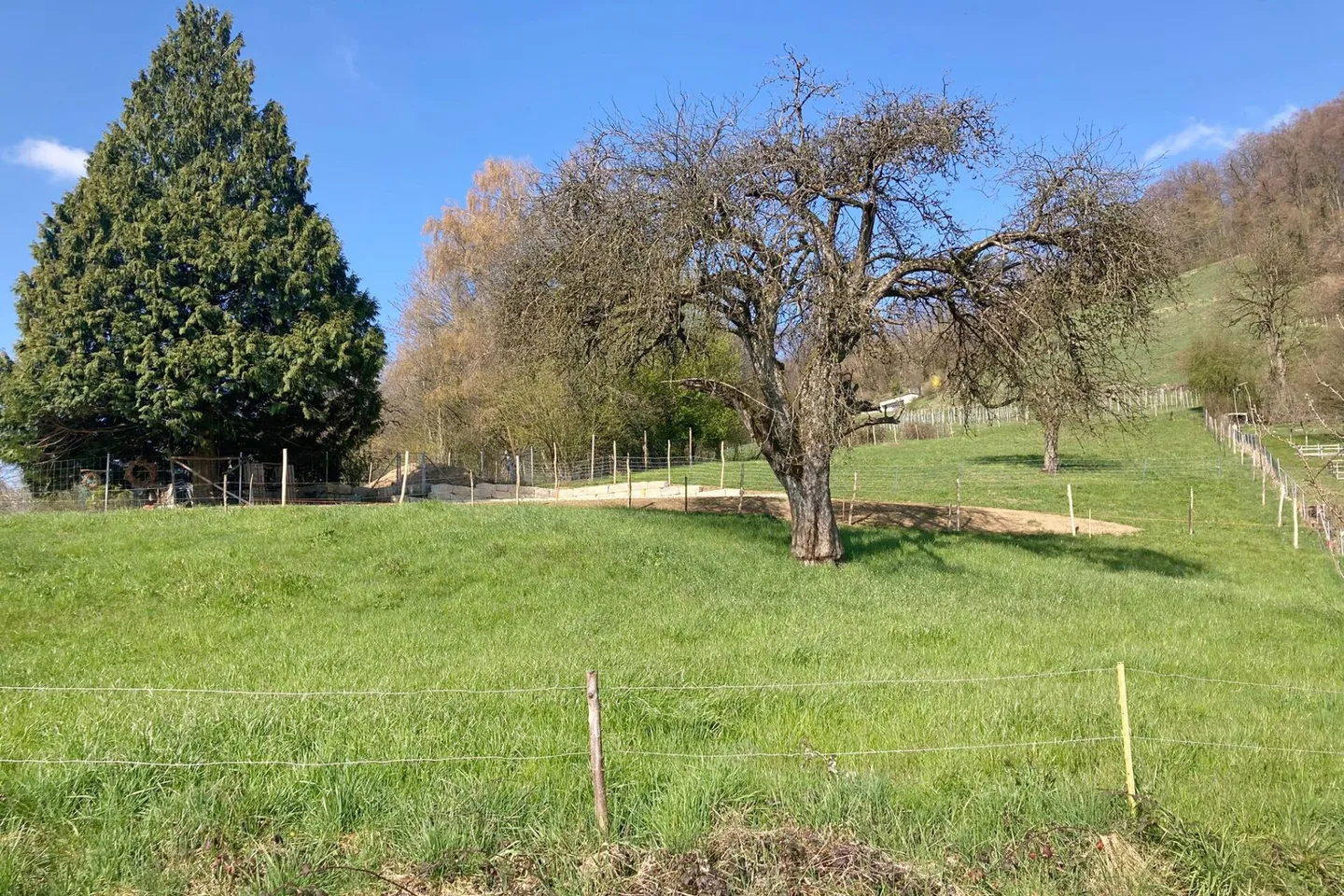 Building Land with a View - Photo 3 of 7