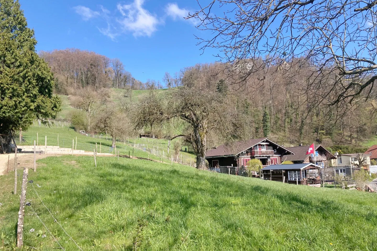 Building Land with a View - Photo 5 of 7