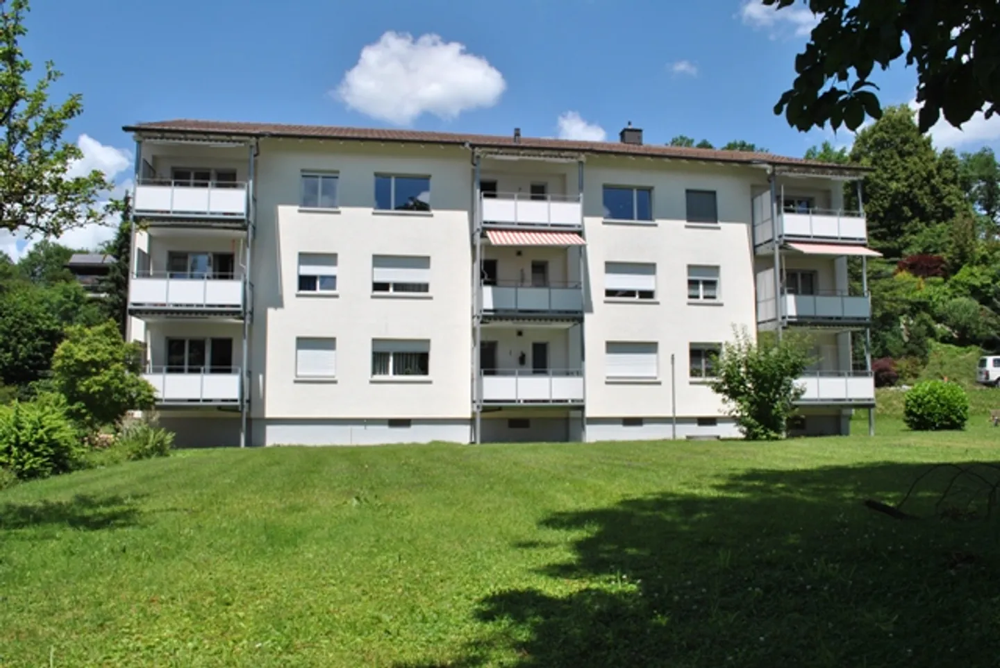 Ai piedi dei vigneti di Uster - Foto 2 di 4