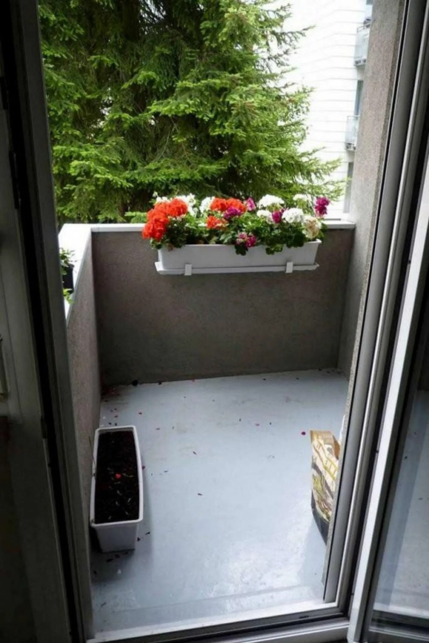 Near Berninaplatz, central yet quiet - Photo 5 of 6