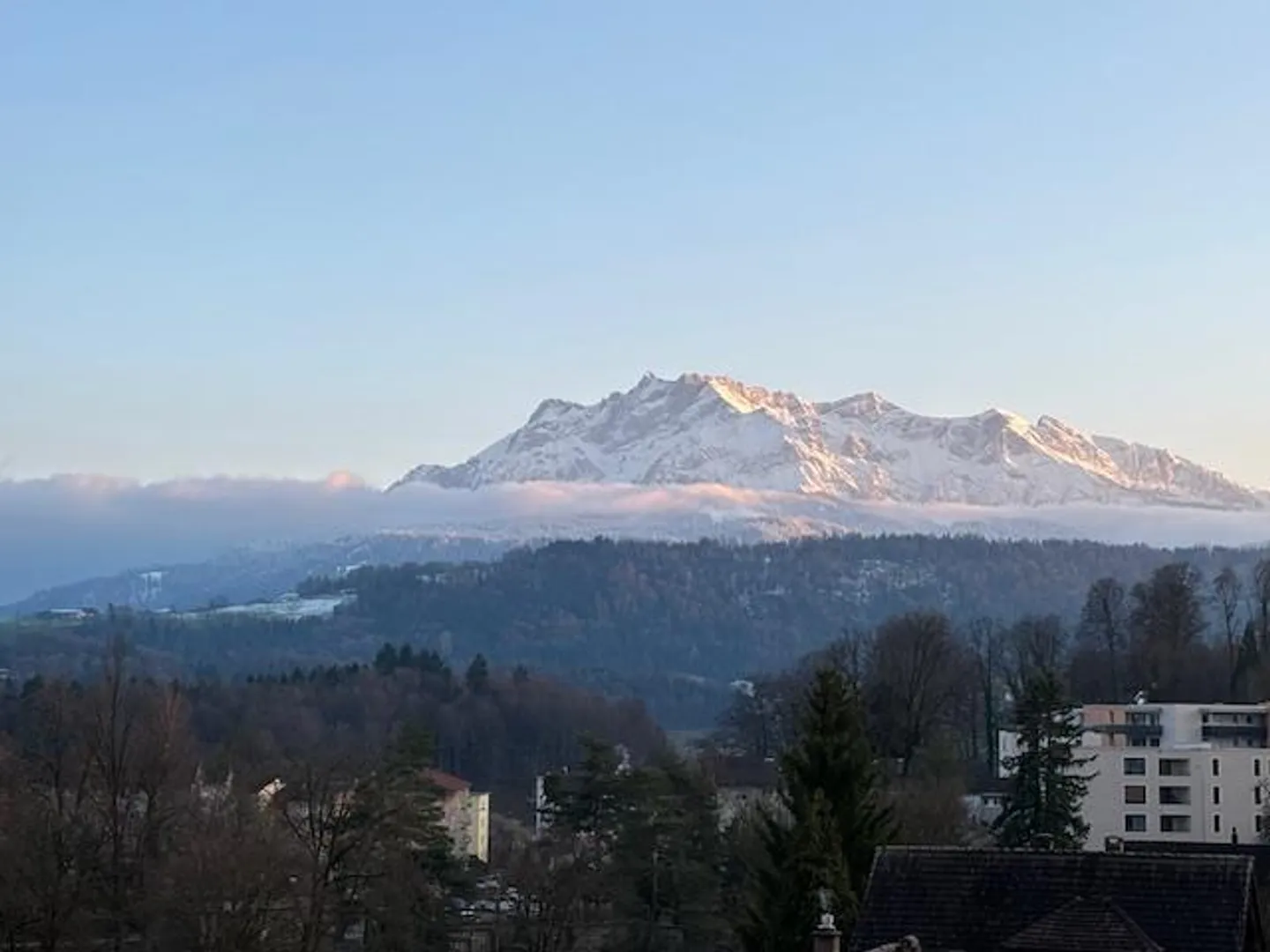 Appartement de rêve - Optionnel avec part de jardin - Photo 2 sur 11