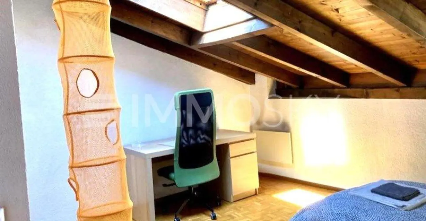 Incanto Ticinese: An authentic dwelling between history and comfort - Photo 5 of 5