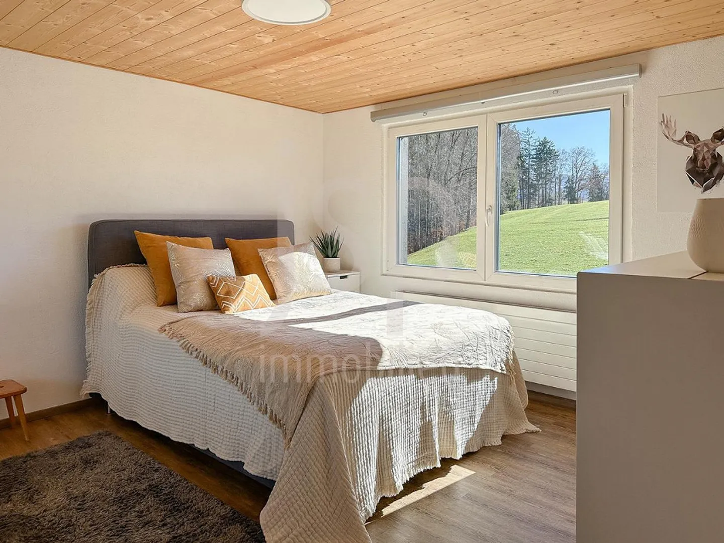 Practical 4 Room House with Large Plot - Photo 6 of 23