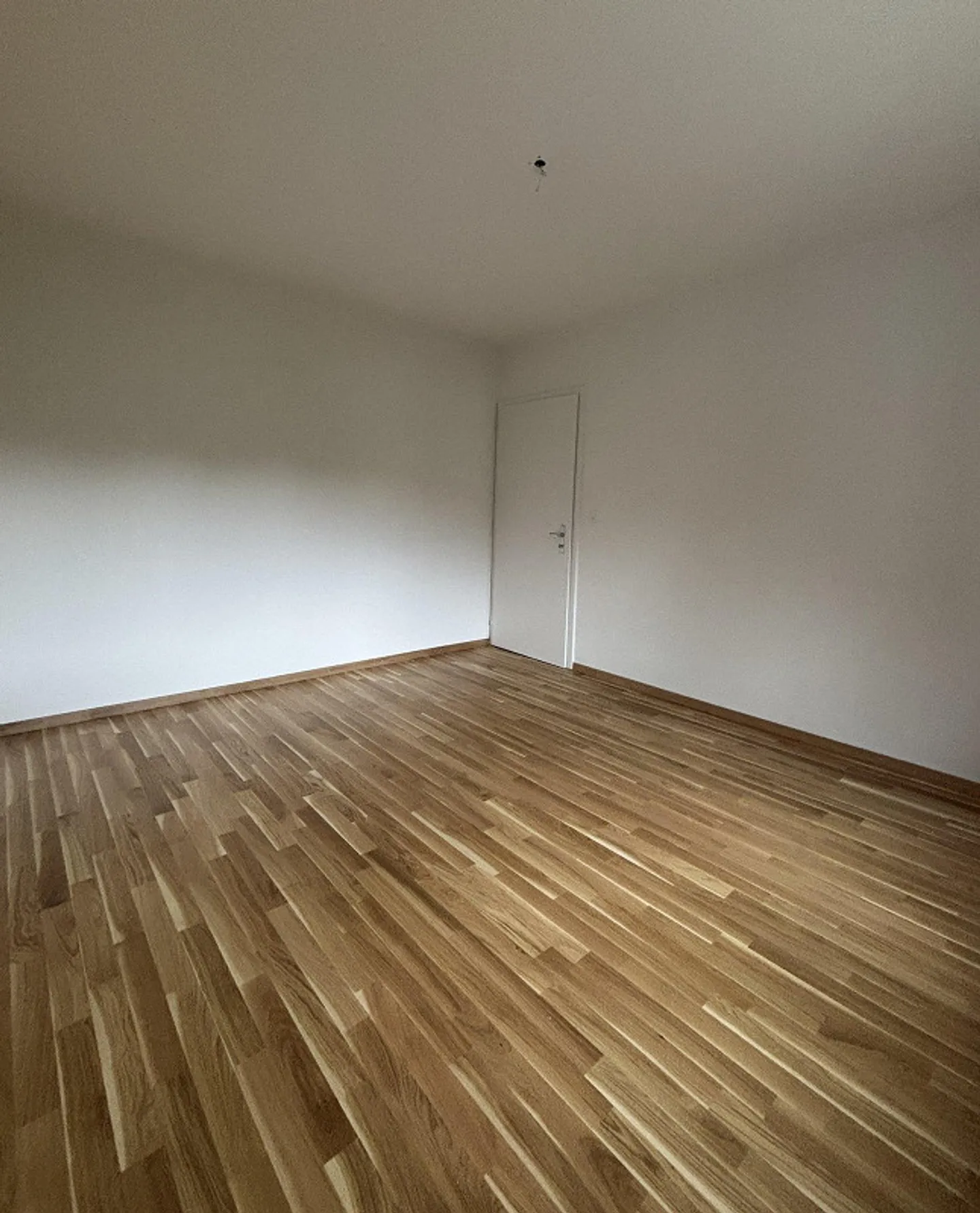 Vivre avec une vue : Appartement lumineux avec vue sur l'Aare et Felsenau - Photo 6 sur 10