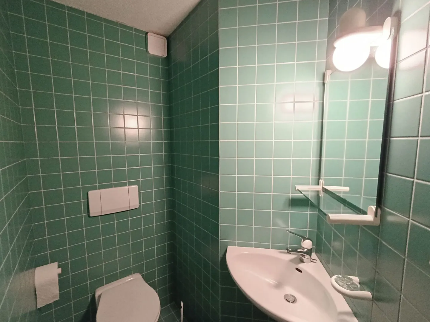 Your new family happiness! Spacious 5.5-room semi-detached house in Rudolfstetten - Photo 14 of 15