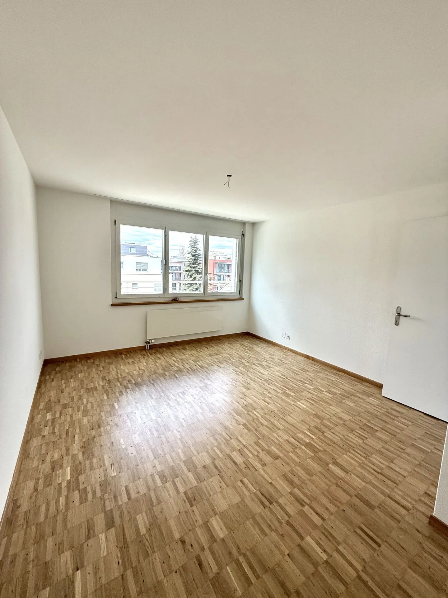 Attico nel centro di Pratteln vicino al parco Joerin - Foto 5 di 10