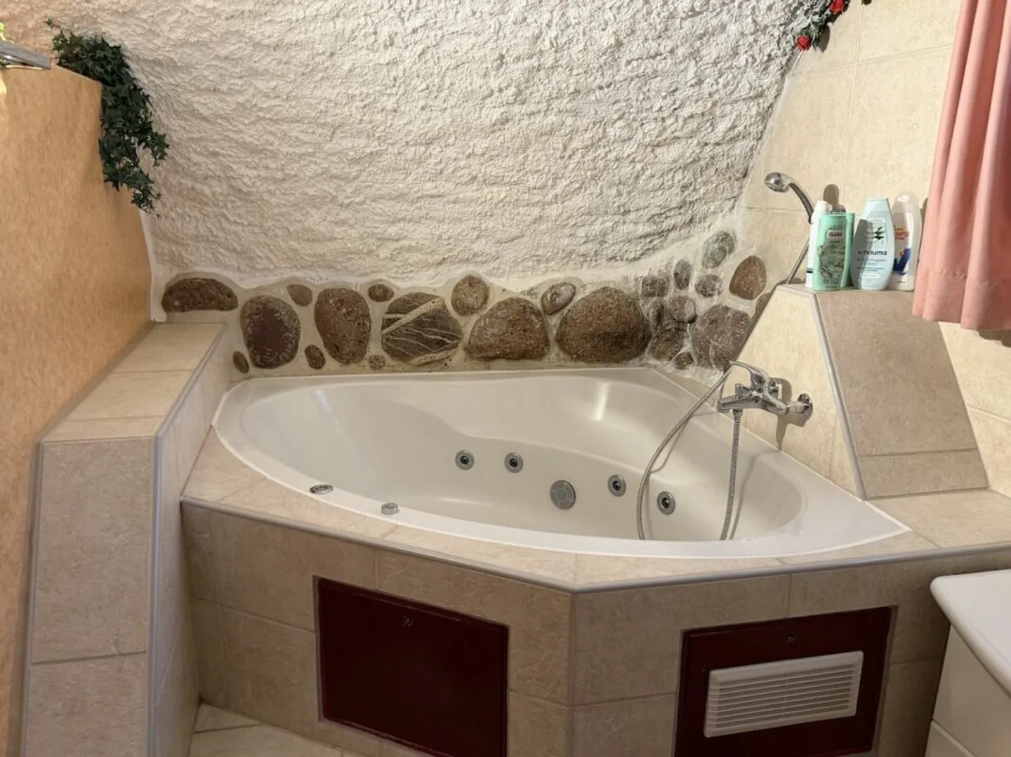 Beautiful guesthouse with apartment and guest wellness rooms for sale - Photo 5 of 12