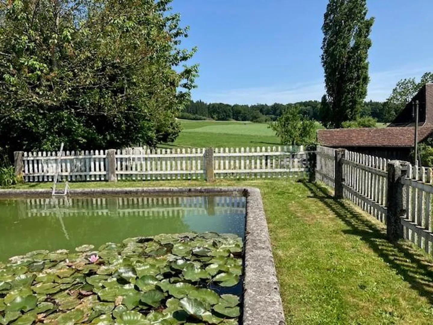 Vivere bene - Tranquillo e soleggiato - Foto 11 di 12