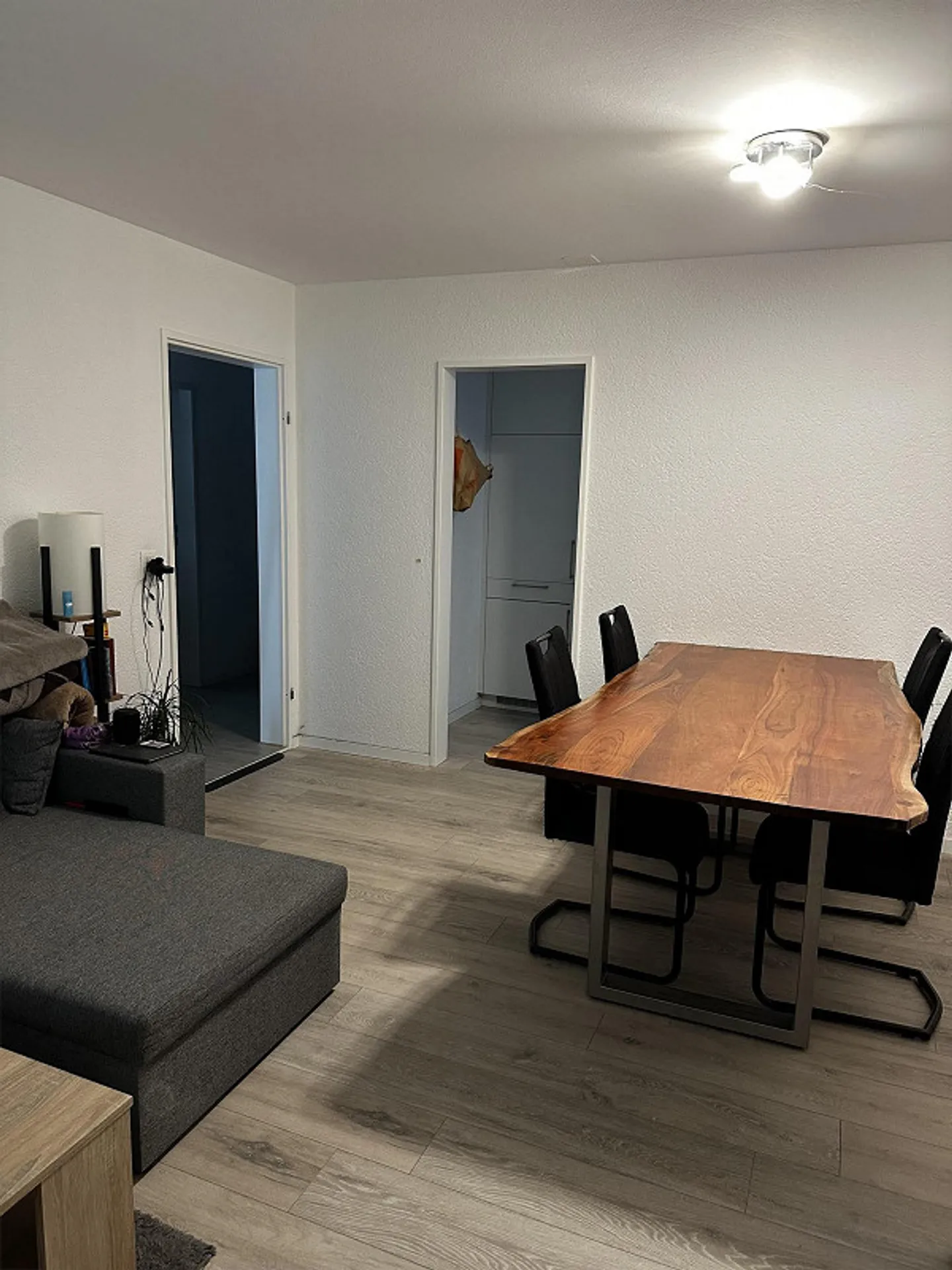 Appartement sous-sol 2,5 pièces à Igis - Garage incluse - Photo 1 sur 12