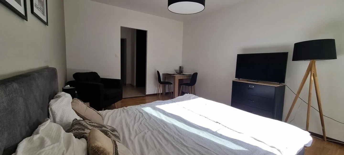 Wunderschönes möbliertes Studio im Herzen von Genf! - Foto 2 von 7