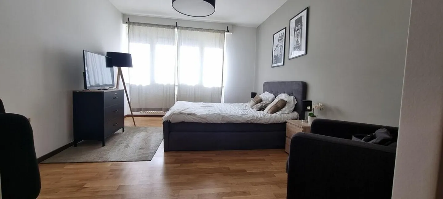 Wunderschönes möbliertes Studio im Herzen von Genf! - Foto 1 von 7
