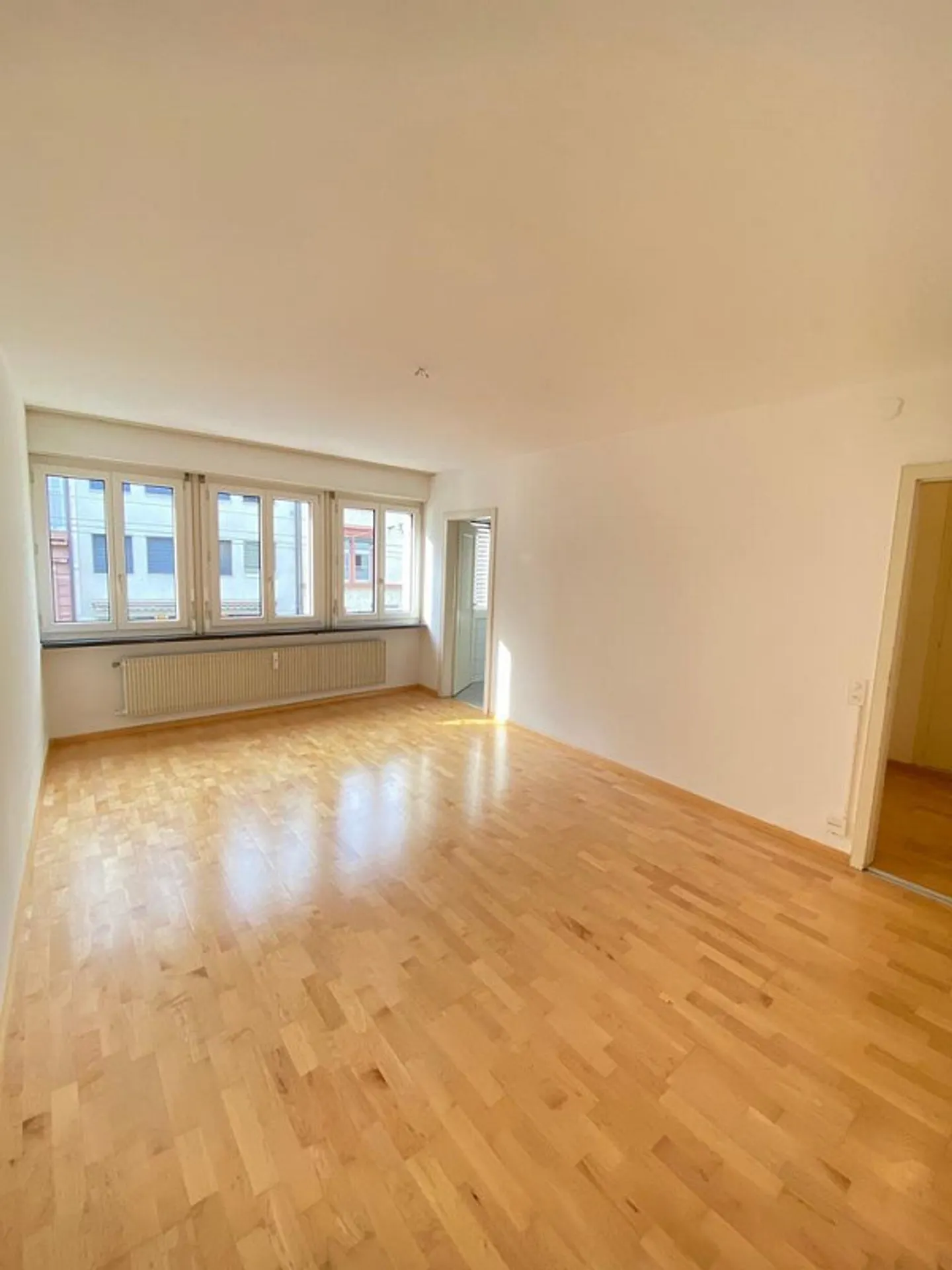 Apartment in the Heart of Basel - Photo 3 of 6