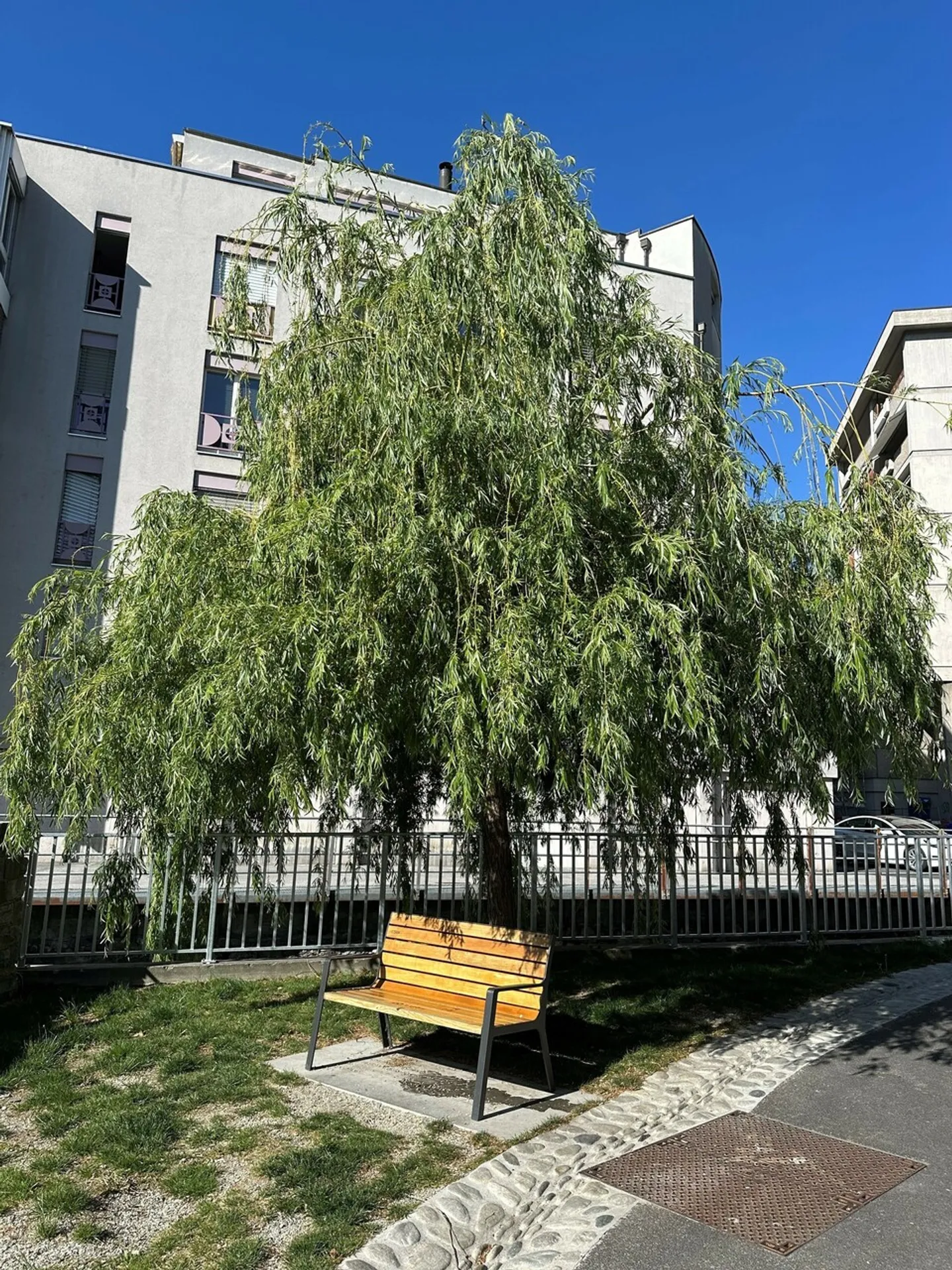 Appartamento in affitto - Foto 17 di 19