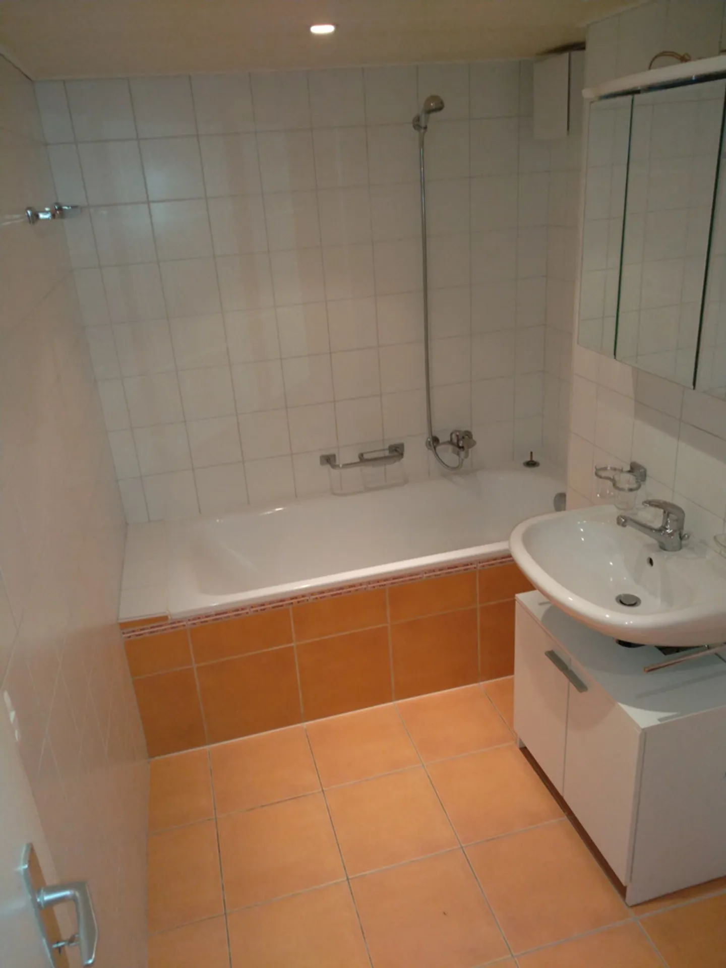 Spacious 2.5 rooms on the ground floor - Photo 9 of 11
