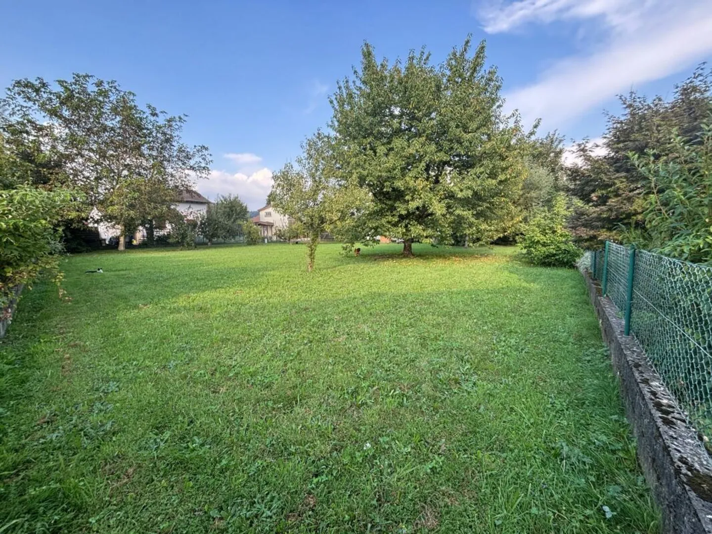 Building plot in Erlinsbach (5015) - attractive location in residential zone W2 with potential - Photo 1 of 4