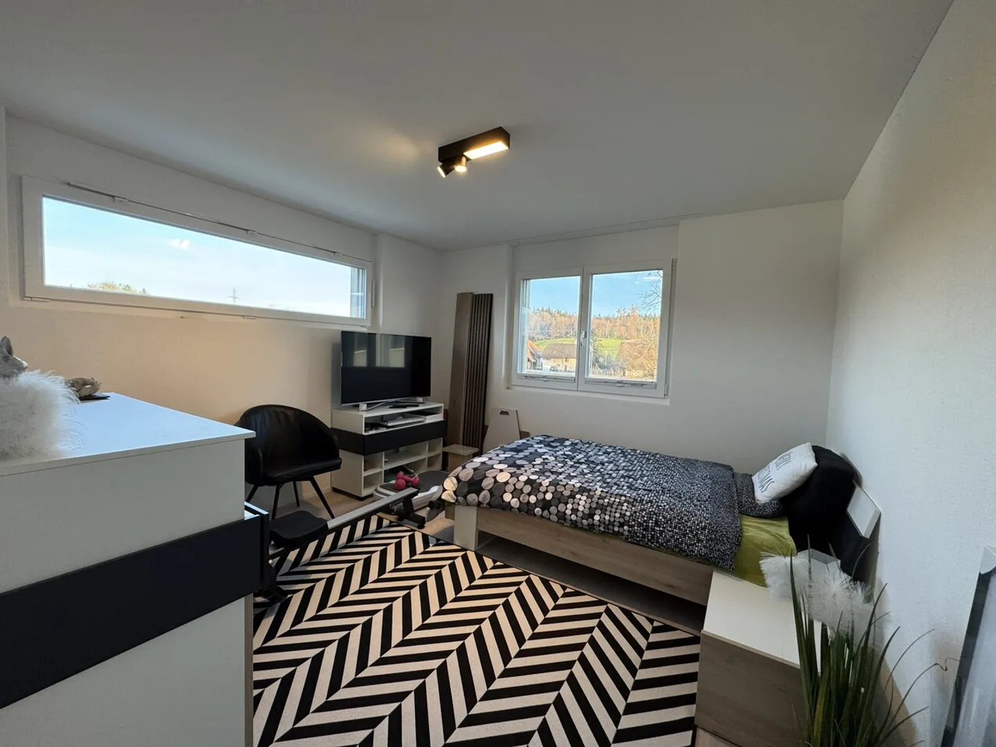 4.5 Z.-Attika Wohnung, 177m2 Netto Wohnfläche, 145m2 Dachterrasse - Foto 9 von 12