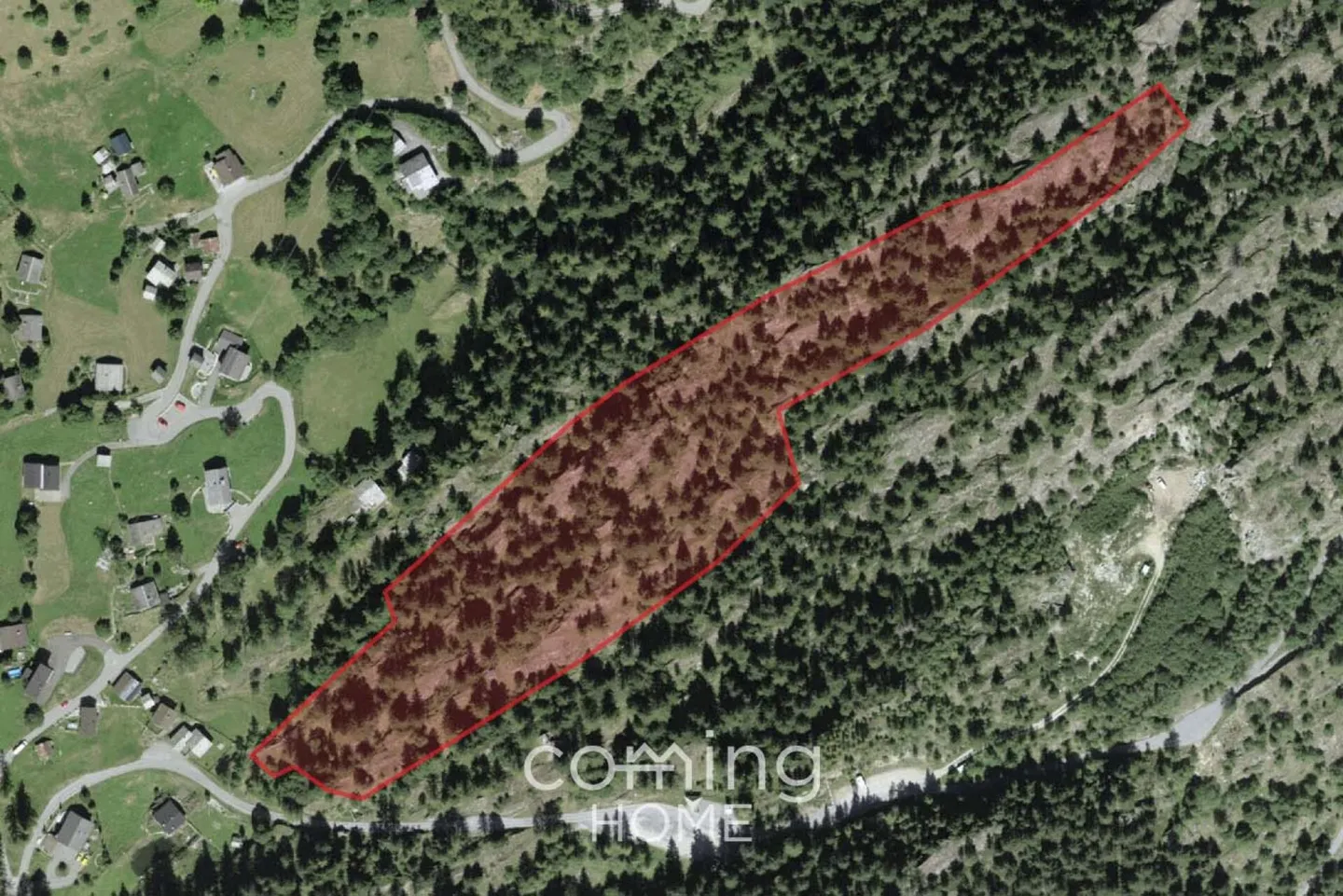 Waldgrundstück in Blatten bei Naters - Naturgrundstück mit Bergcharme in der Aletsch-Region des Wallis - Foto 1 von 4