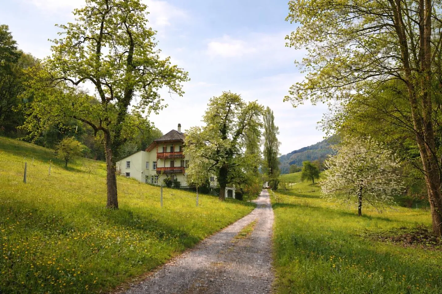 Chalet mit Seezugang in Weggis - Foto 8 von 8