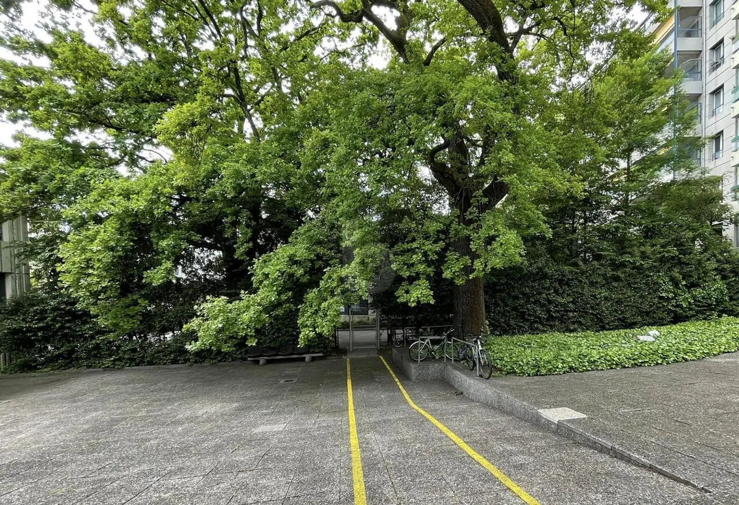 ESPACE D'ÉVÉNEMENTS - Photo 3 sur 4