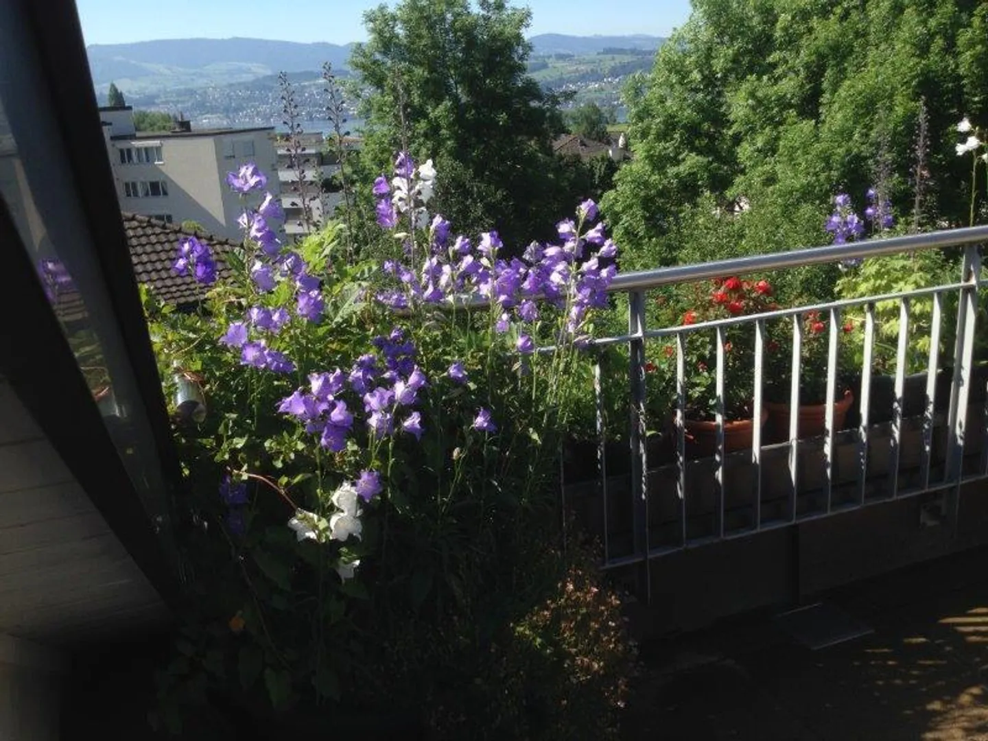 Affittare senza deposito - Foto 9 di 11