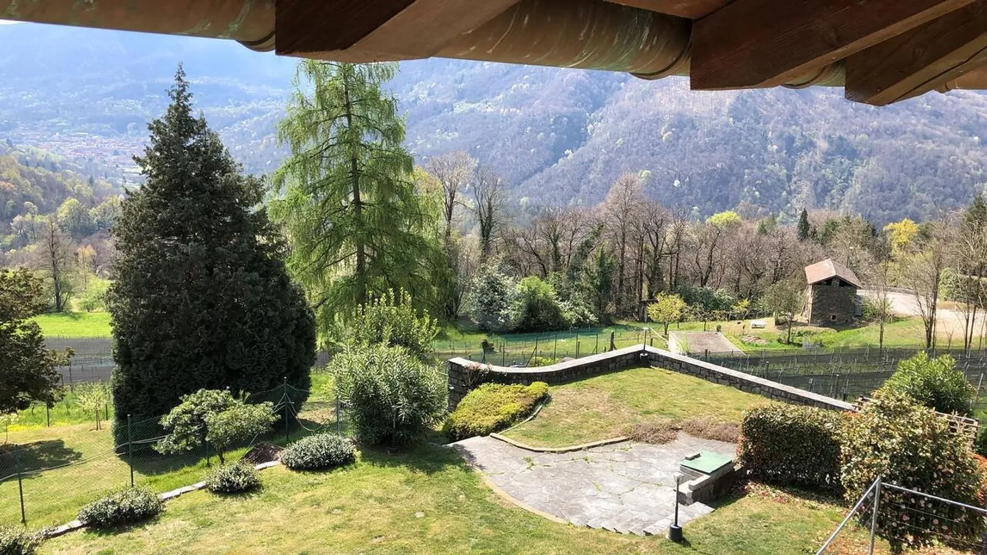 UN' OASI DI PARADISO - Foto 2 di 6